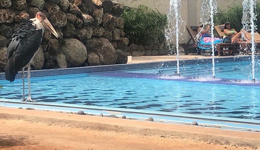Ameg Lodge (12)