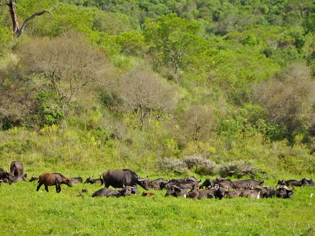 Arusha-National-Park-1