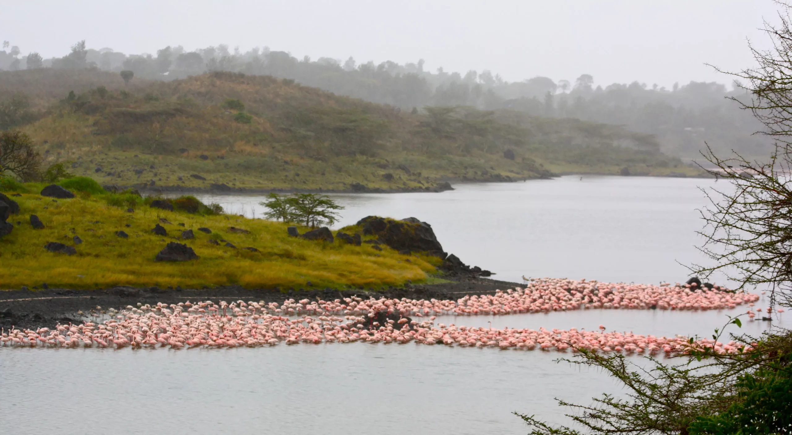 Arusha-National-Park-7