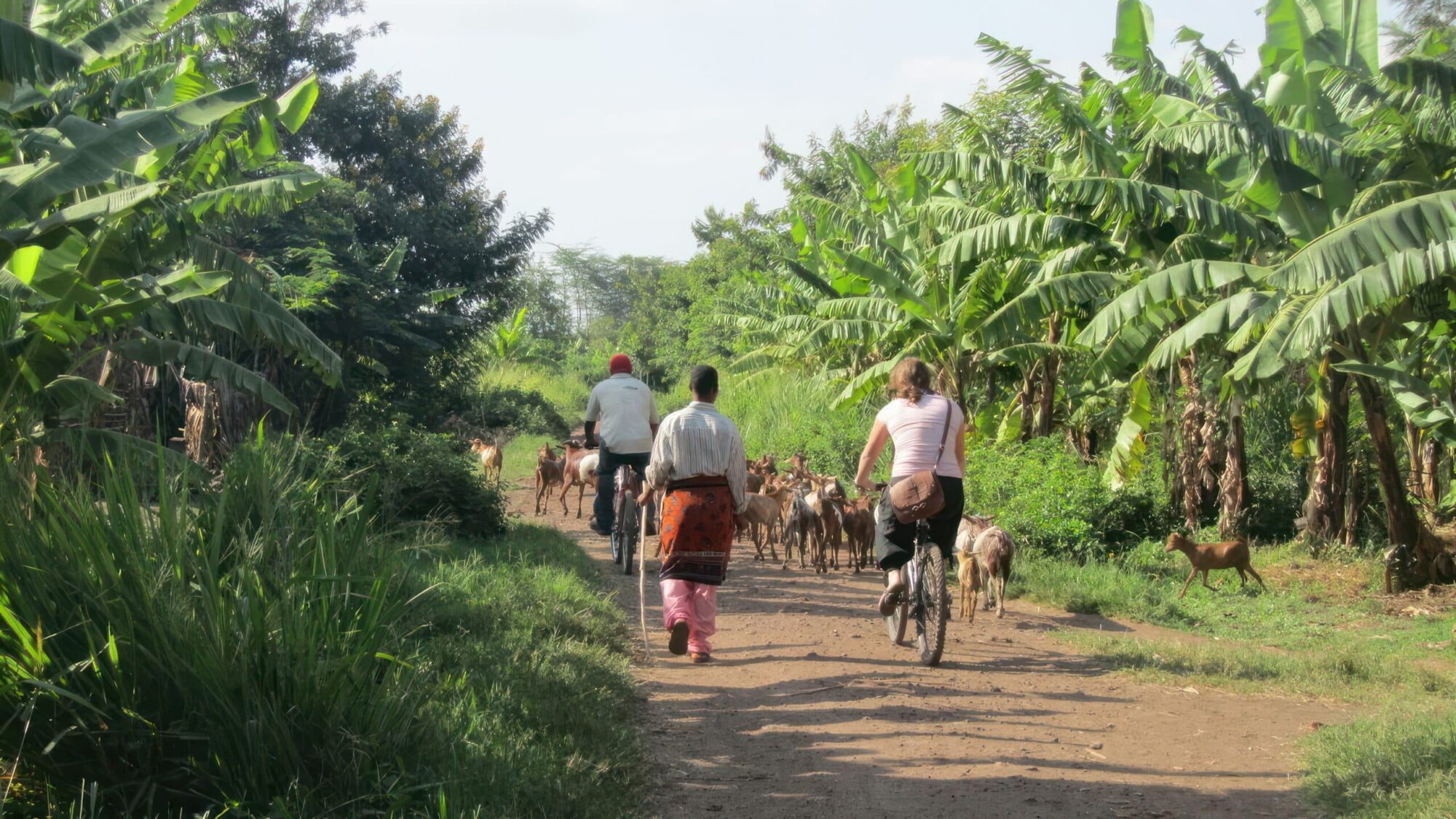 Biking-in-Mto-wa-Mbu-Village-Easy-Travel-Tanzania-scaled-1