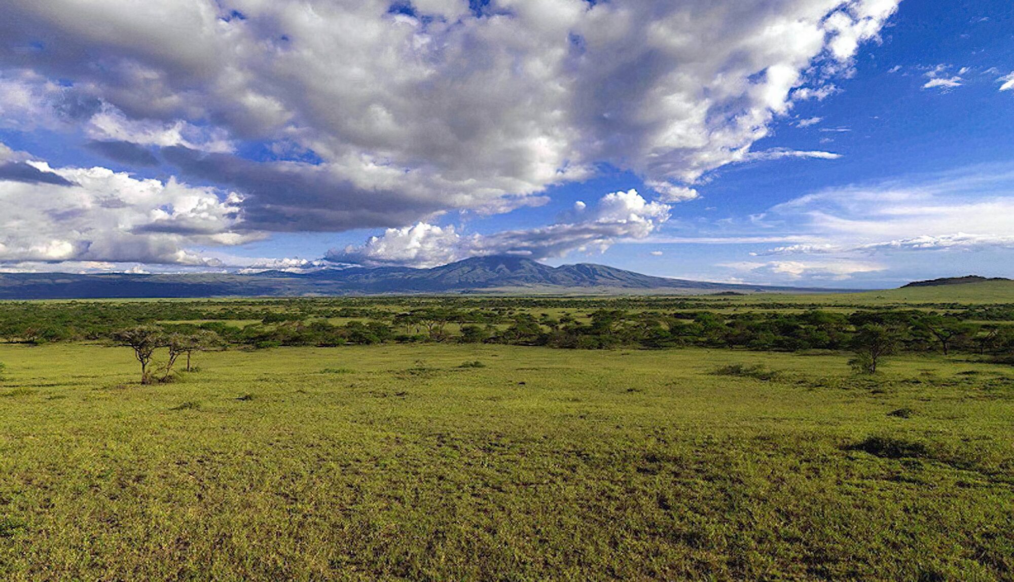 Gol_Mountains_NCA_2