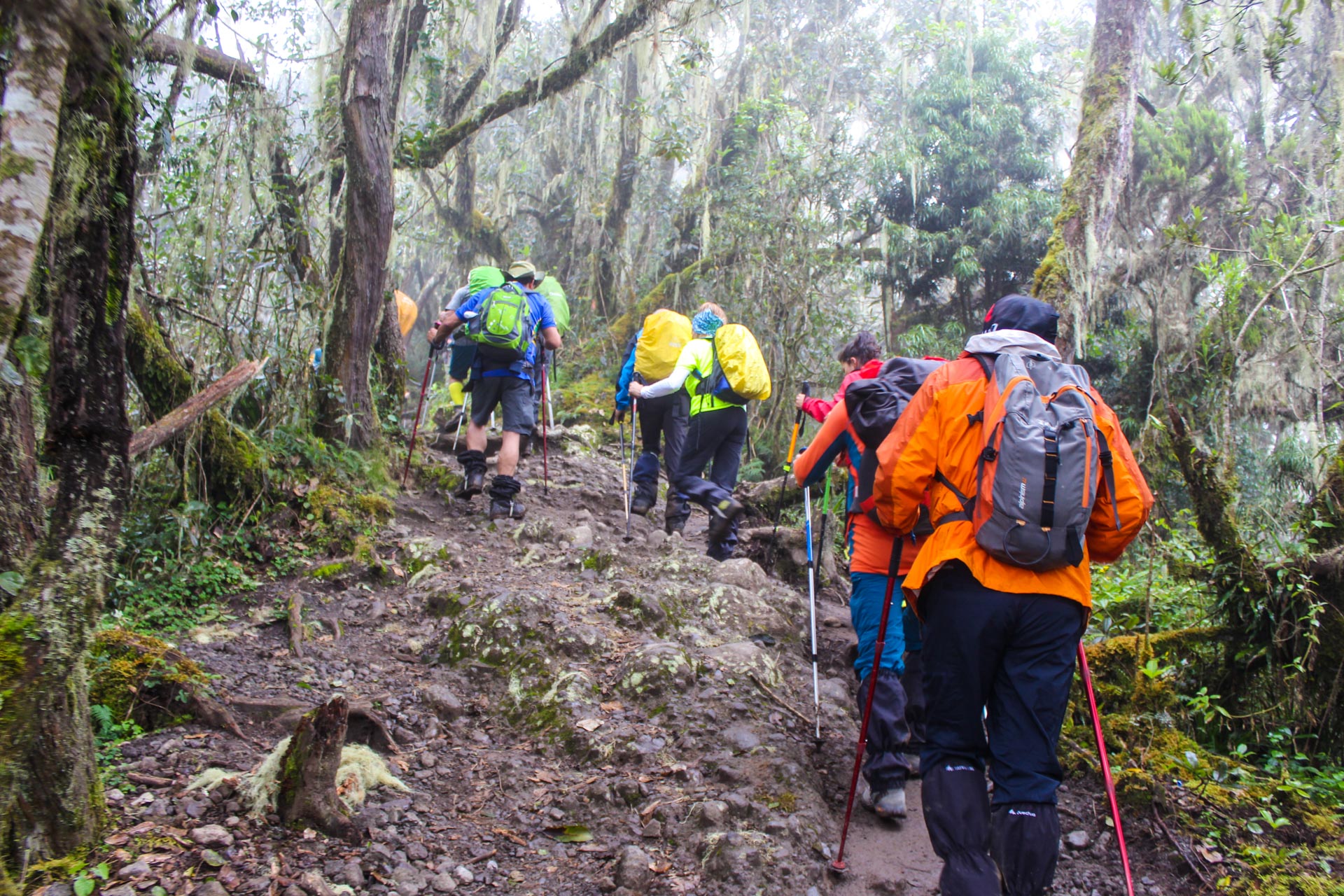 Kilimanjaro-Climbing-and-Hiking-Tours-36