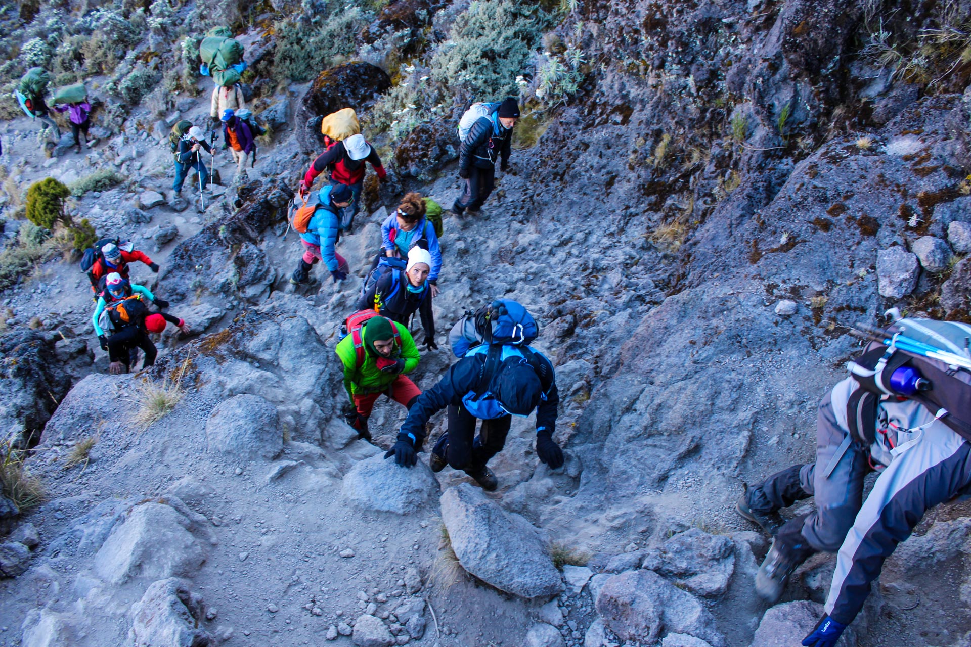 Kilimanjaro-Climbing-and-Hiking-Tours-9