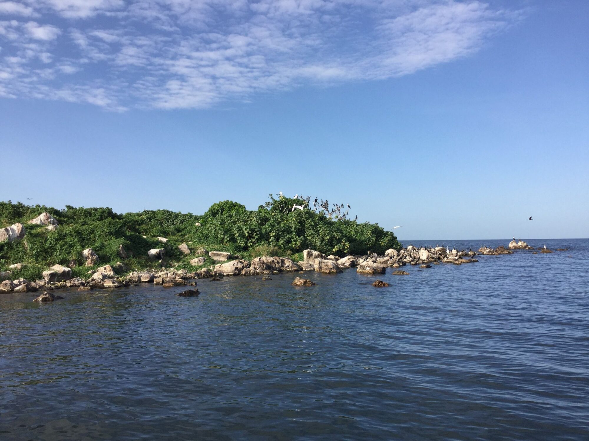 Mahale_Mountains_National_Park_x_61