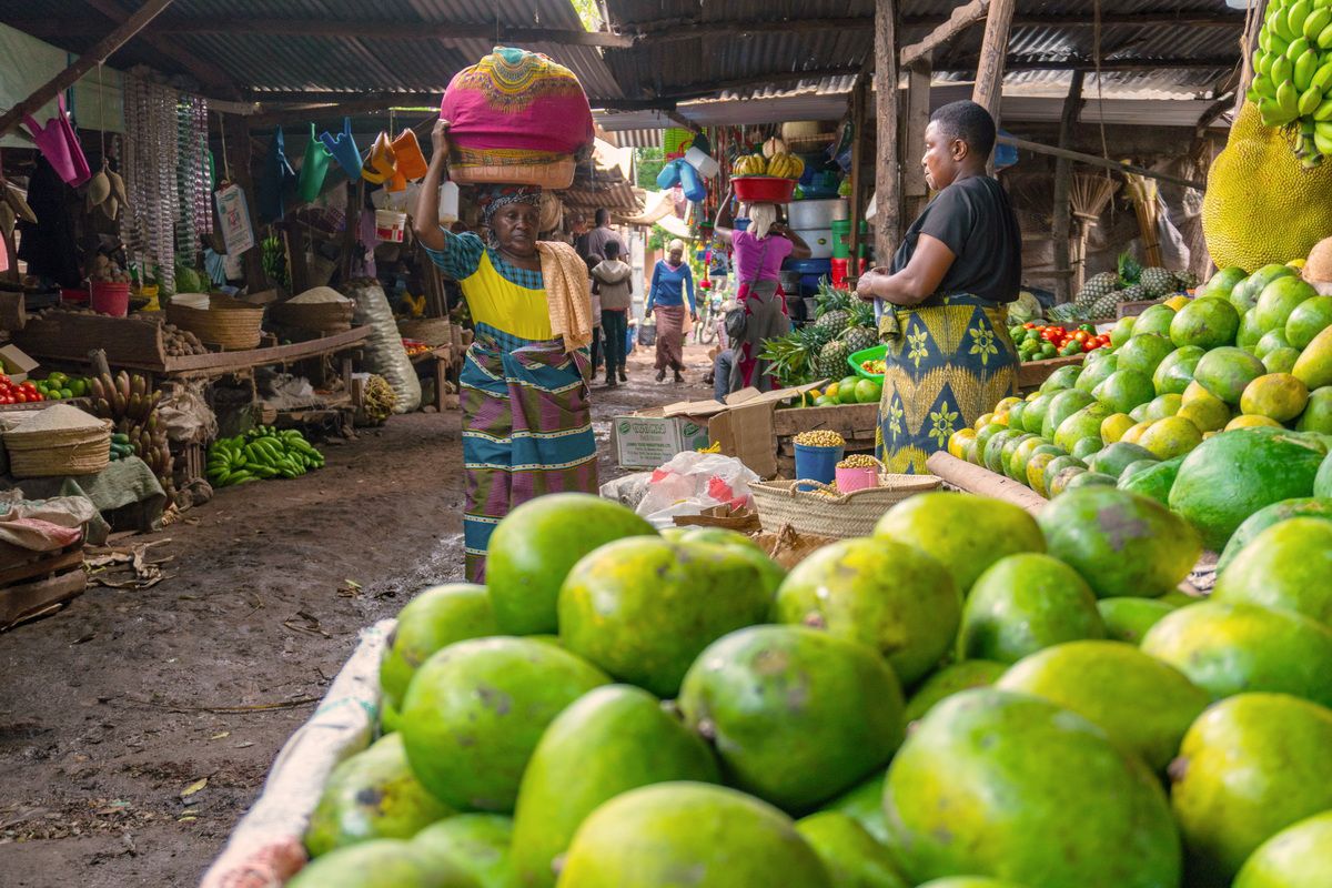 ARUSHA, TANZANIA - NOVEMBER 25: Native Market in Mto Wa Mbu near the Ngorongoro concervation area withdifferent fruits and wicker dishes. SSUCv3H4sIAAAAAAAACpyRwW7DIAyG75P2DhHnRipp0zV9lWoHx3EbVAoVkE1T1XefgTBx3g1/tn/7N8/3t6YRI3iF4tQ8Y8Sx0nrxwUFQ1jDeblbuyEzkakKTCtYp0AxlgSMEnA3ciaFZtI74lZLCBwiLJx+HrQgh0JU1MvyTyBudc9yUREpyB6eE2FTML2NiBWXxf3Xmx2dxA1cy+JMWrow40gTZyDmXitt3IHevrcEyKVu5+rIIOhbsKqWHU6jMtWqzYU5XLm1oFxNcXEF0cijLC23tA0Ydr3xhWSp8Bu+5Yyq8moX8rfZejTI2JA/rScTEnxFDueu6/jh0w3AYtrv+oz+sBfkDZ8U6aaMixDHe1FS7V3EDIVHu4bLtWyC8tHvZj+1wxLGVdDh2iERd3/PtX78AAAD//wMA2tsqhooCAAA=