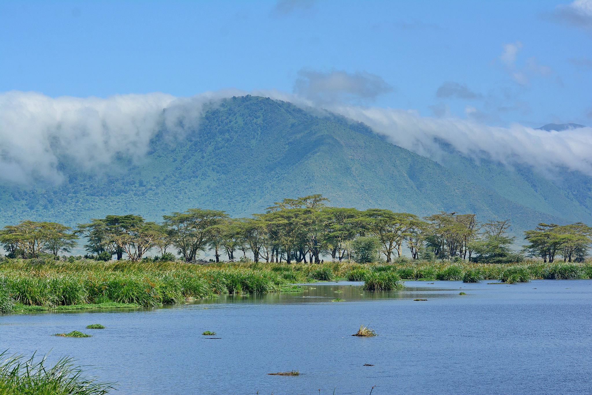 Ngorongoro_Crater_Swamps_NCA