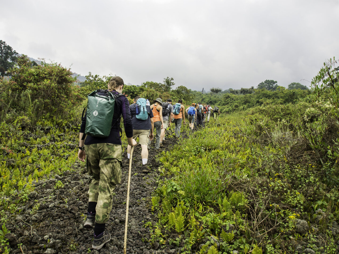 Akagera National Park (16)