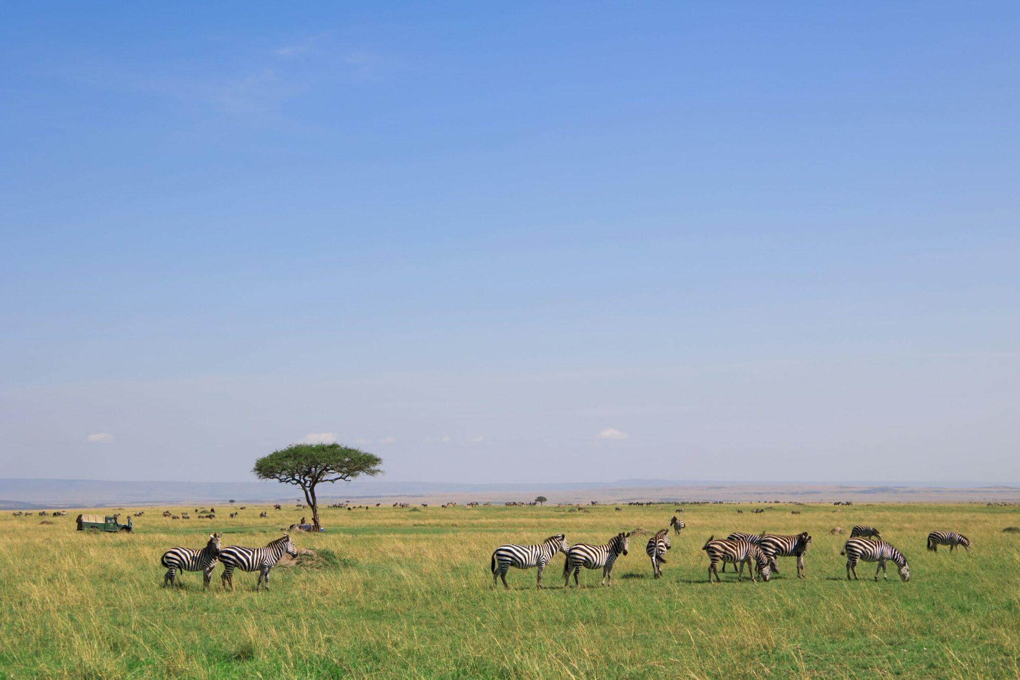 Amboseli National Park (1)