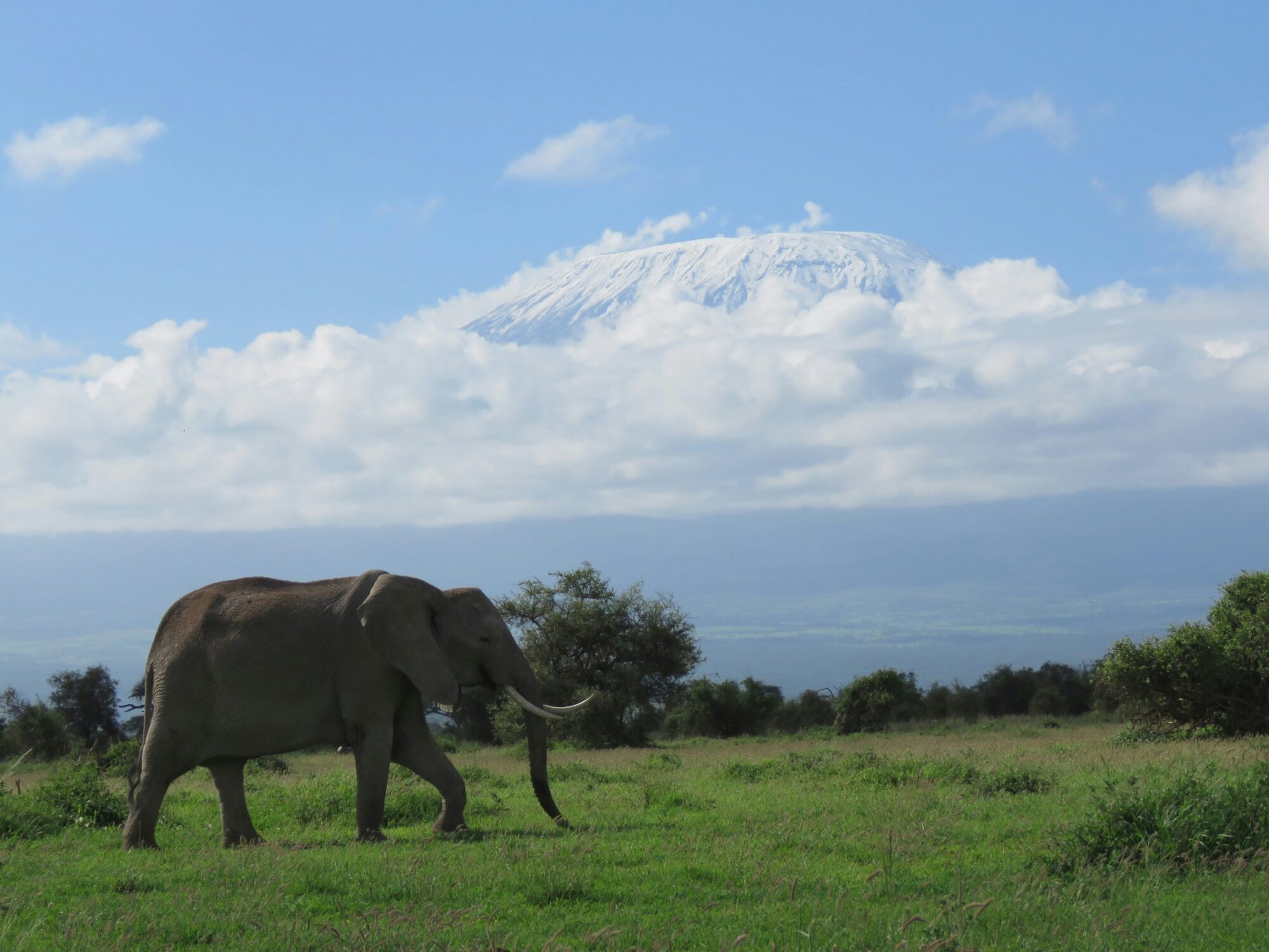 Amboseli National Park (10)
