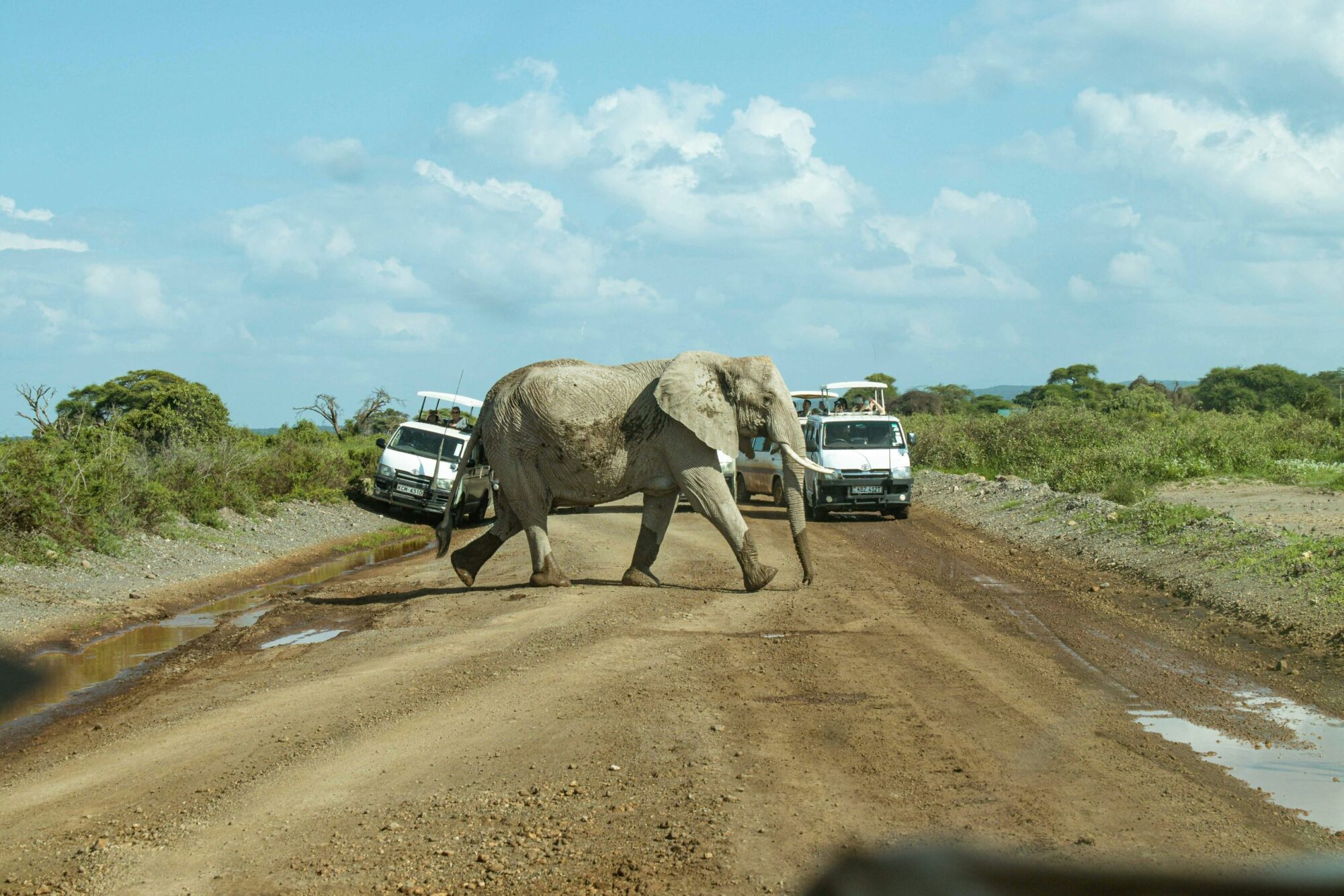 Amboseli National Park (11)