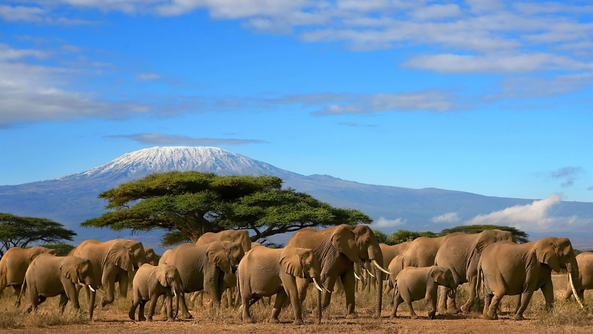 Amboseli National Park (13)