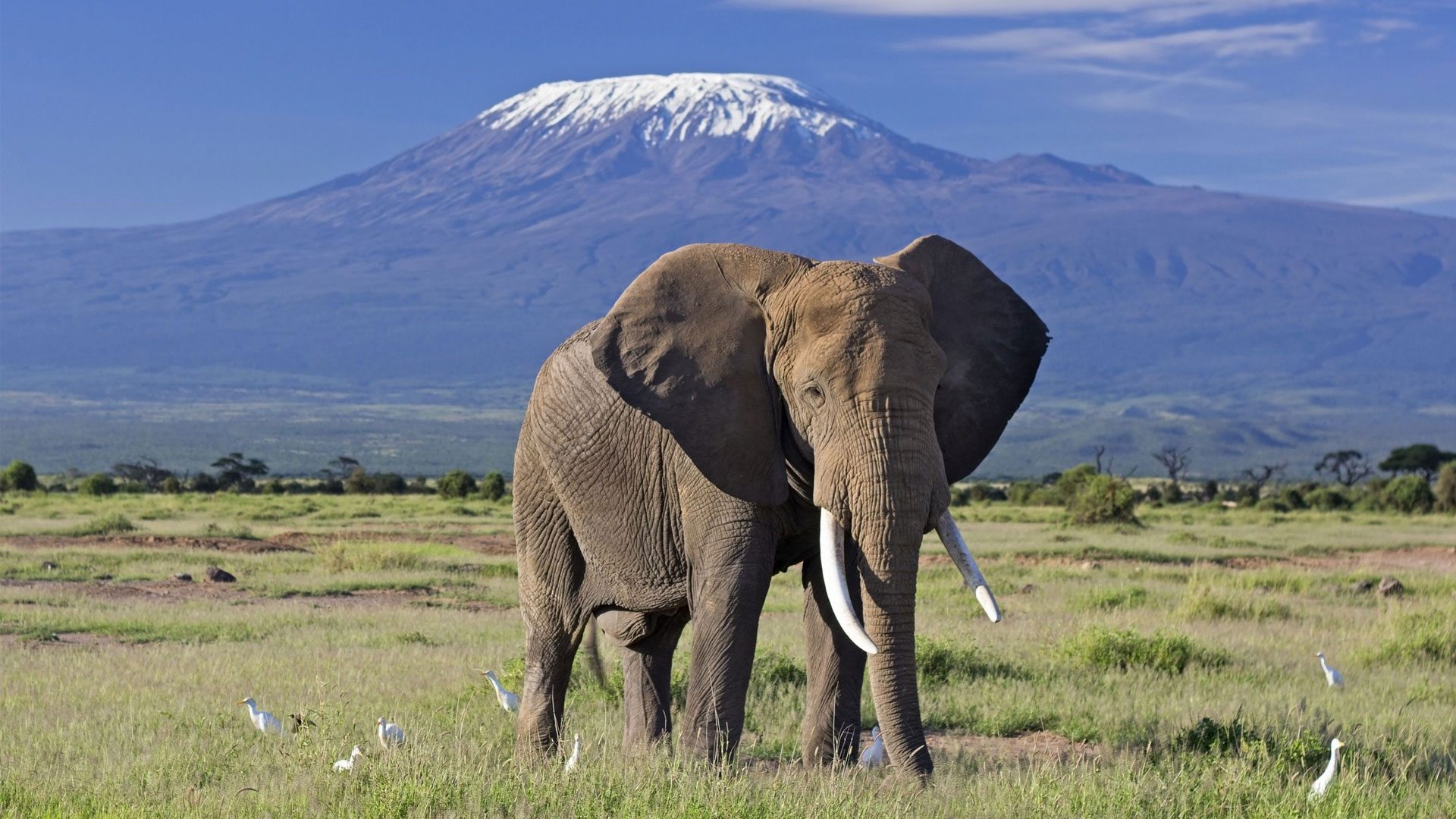 Amboseli National Park (2)