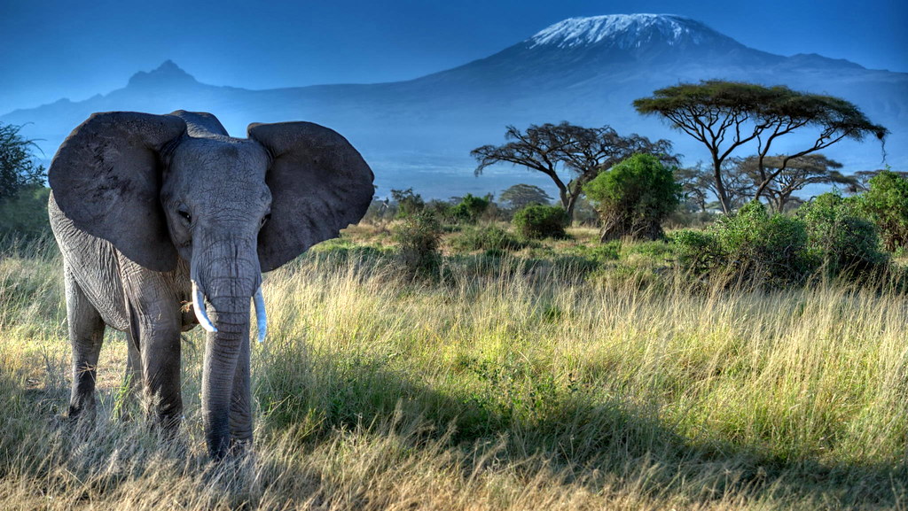 Amboseli National Park (6)