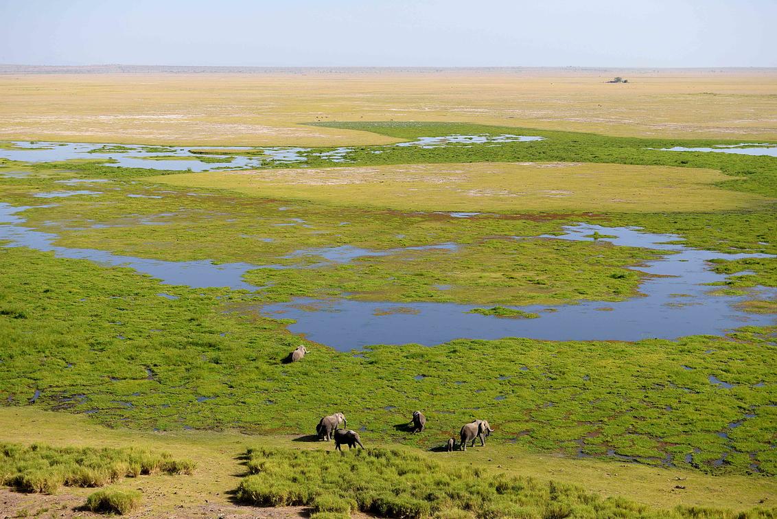 Amboseli Serena Safari Lodge (3)