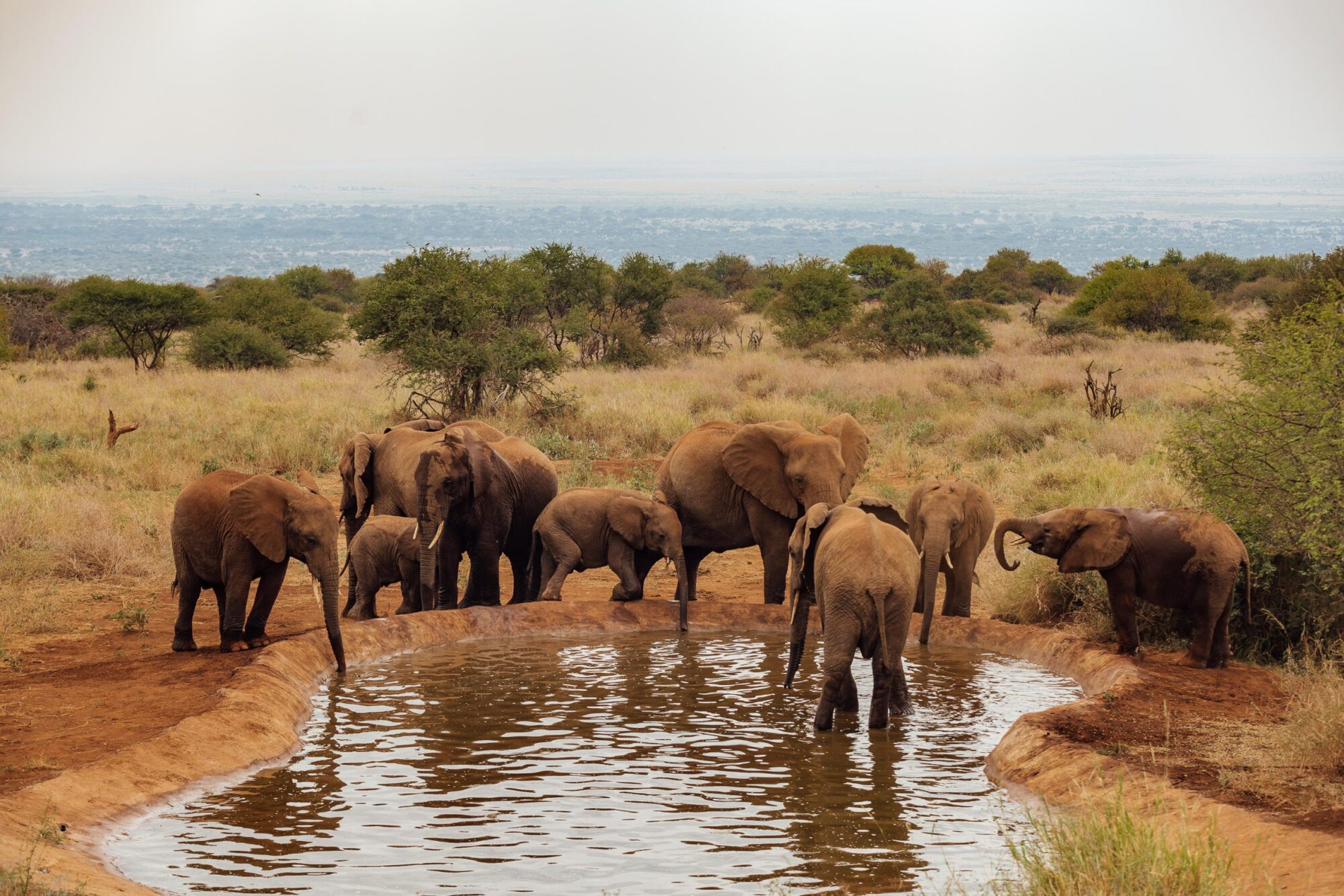 Elephant Gorge Camp (1)