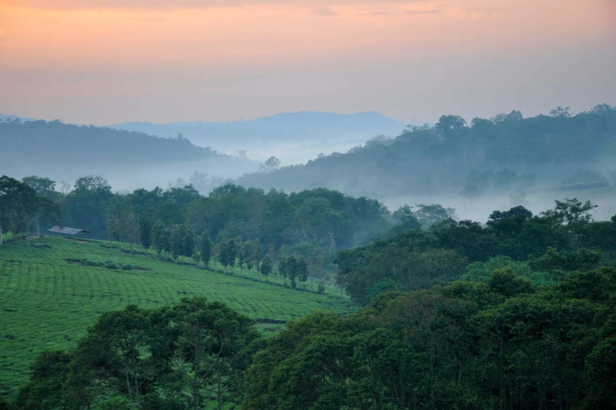Kibale Forest National Park (4)