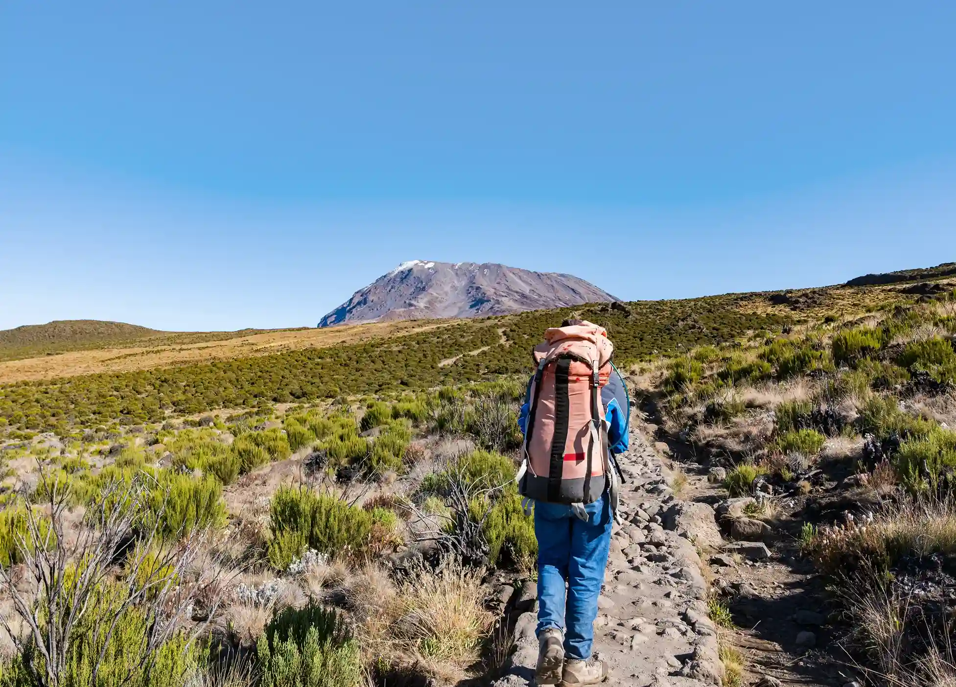 Kilimanjaro Adventure 2026 (14)