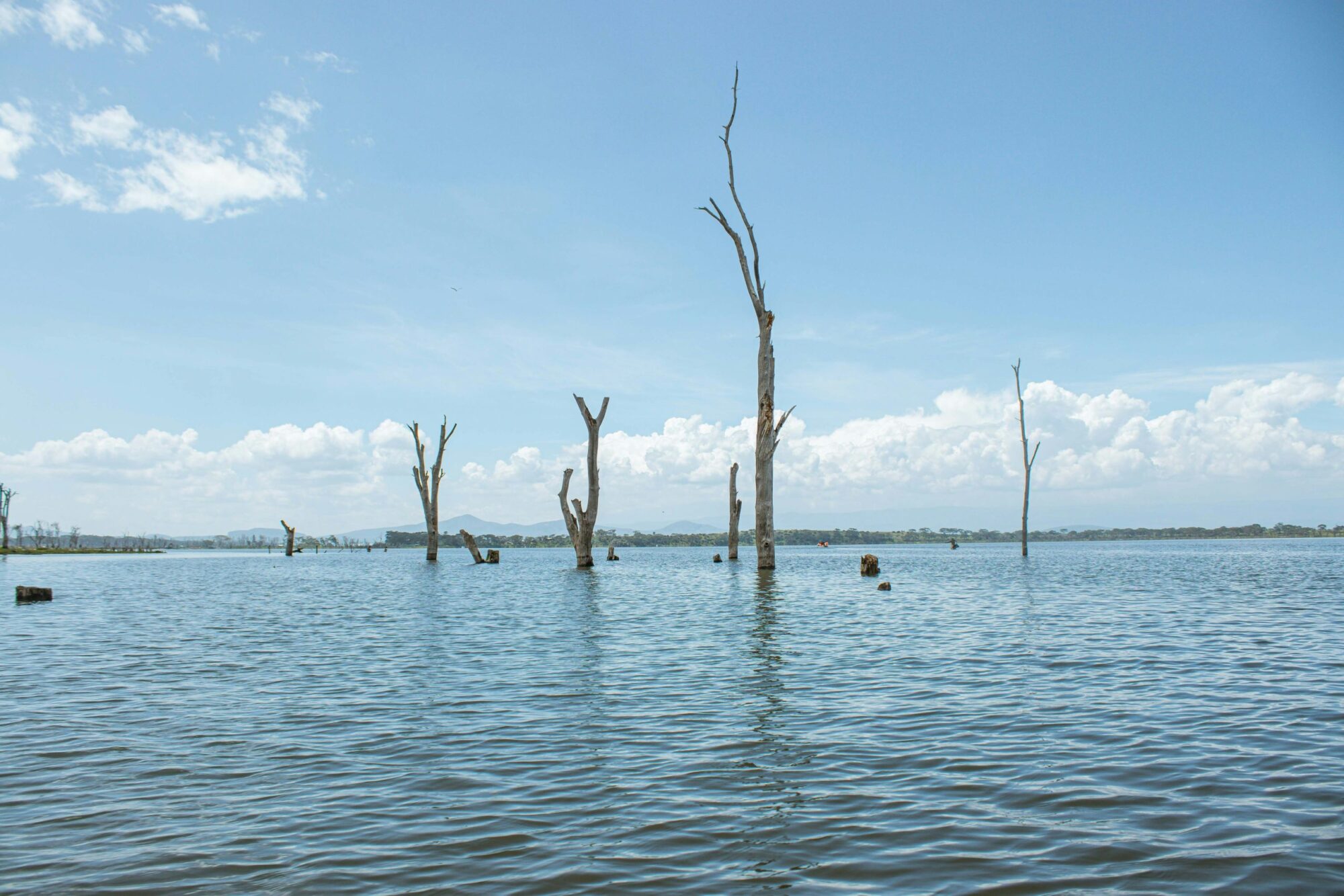 Lake Naivasha National Park (7)