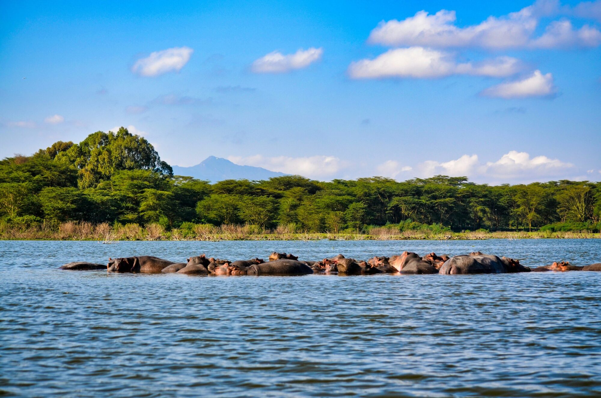 Lake Nakuru National Park (2)