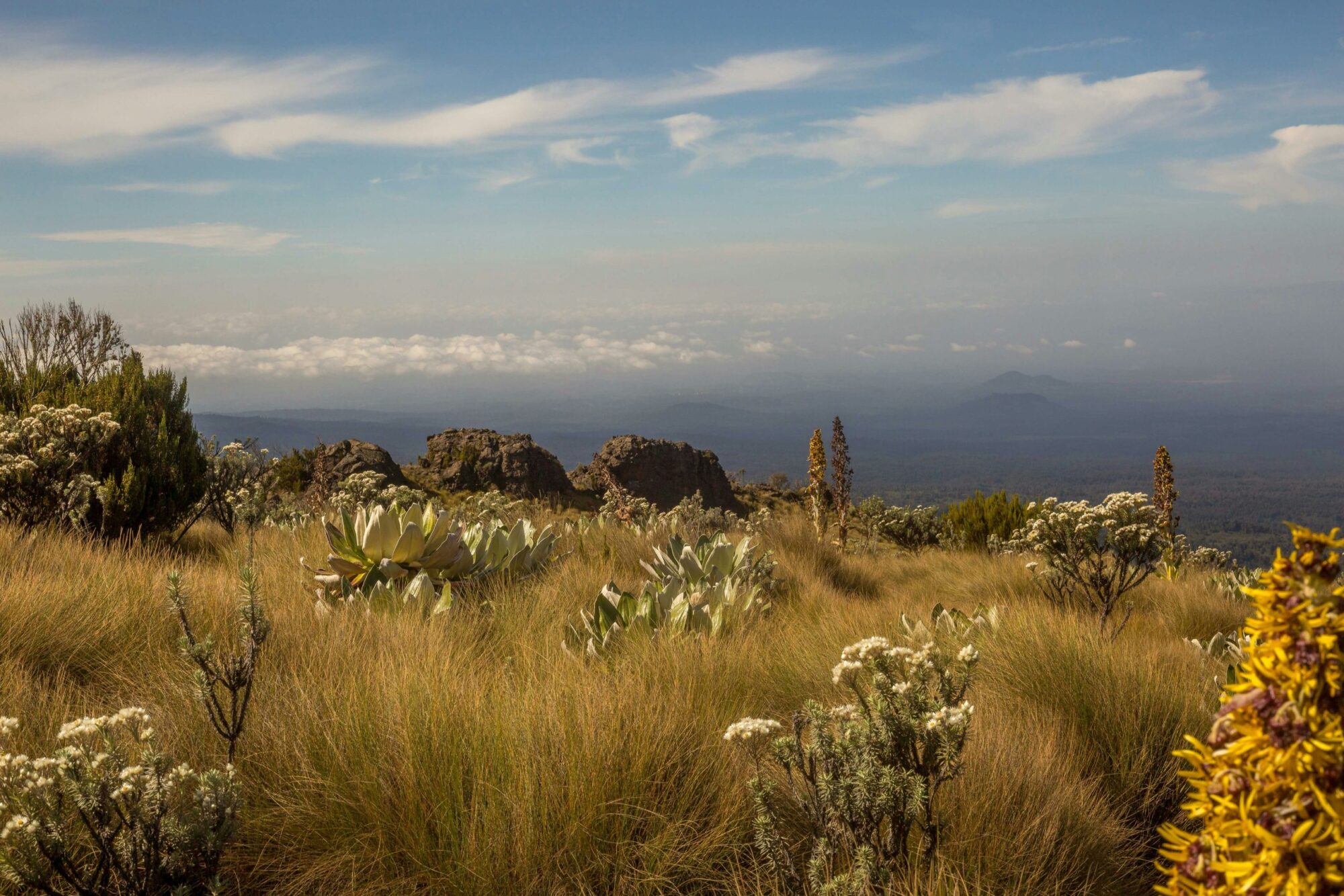 Mount Kenya Hiking (2)