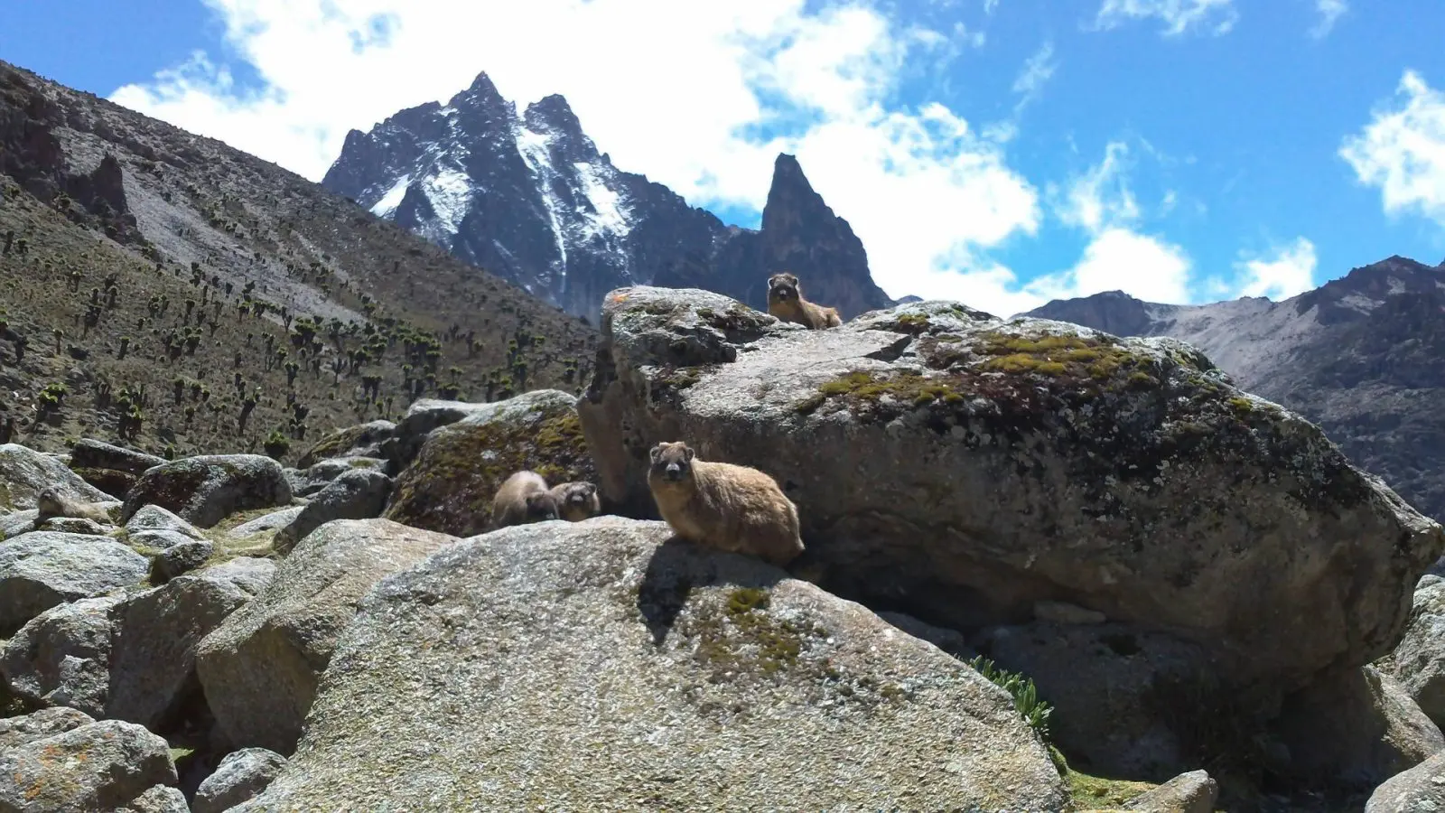 Mount Kenya Hiking (2)