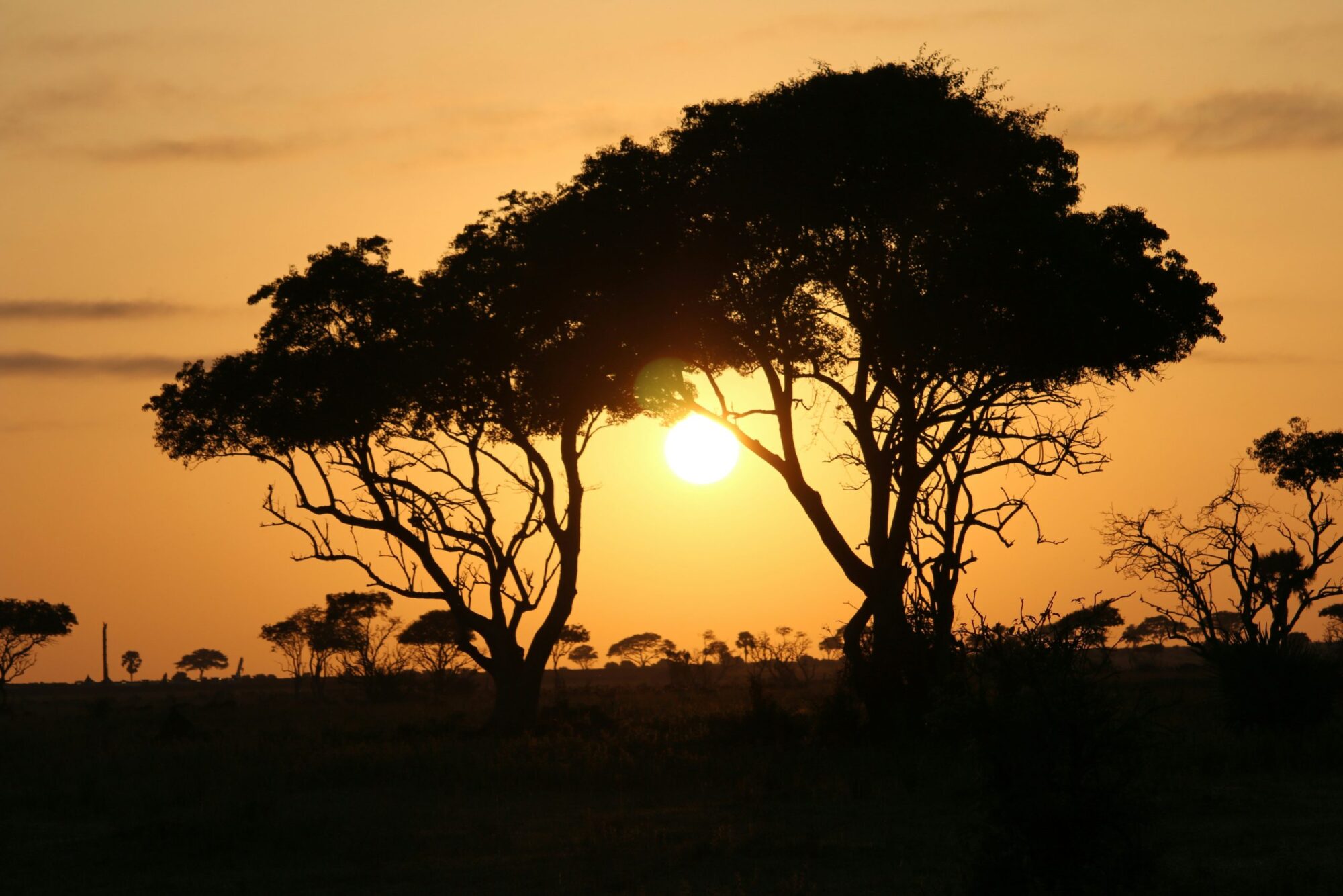 Murchison Falls National Park (11)