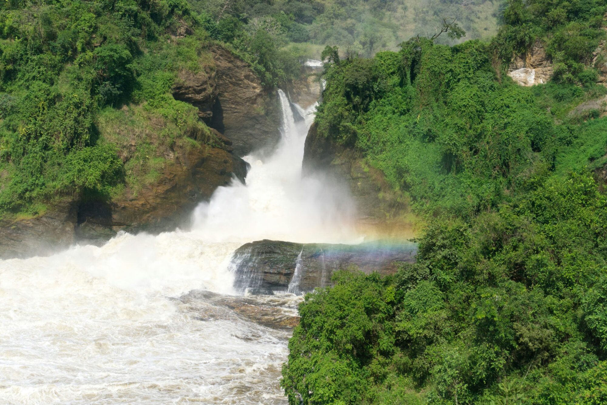 Murchison Falls National Park (13)