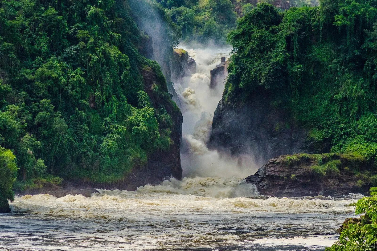 Murchison Falls National Park (2)