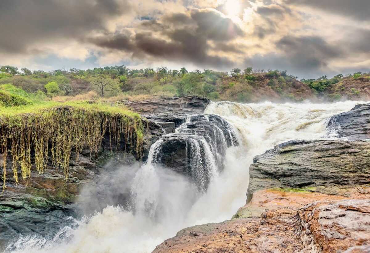 Murchison Falls National Park (3)