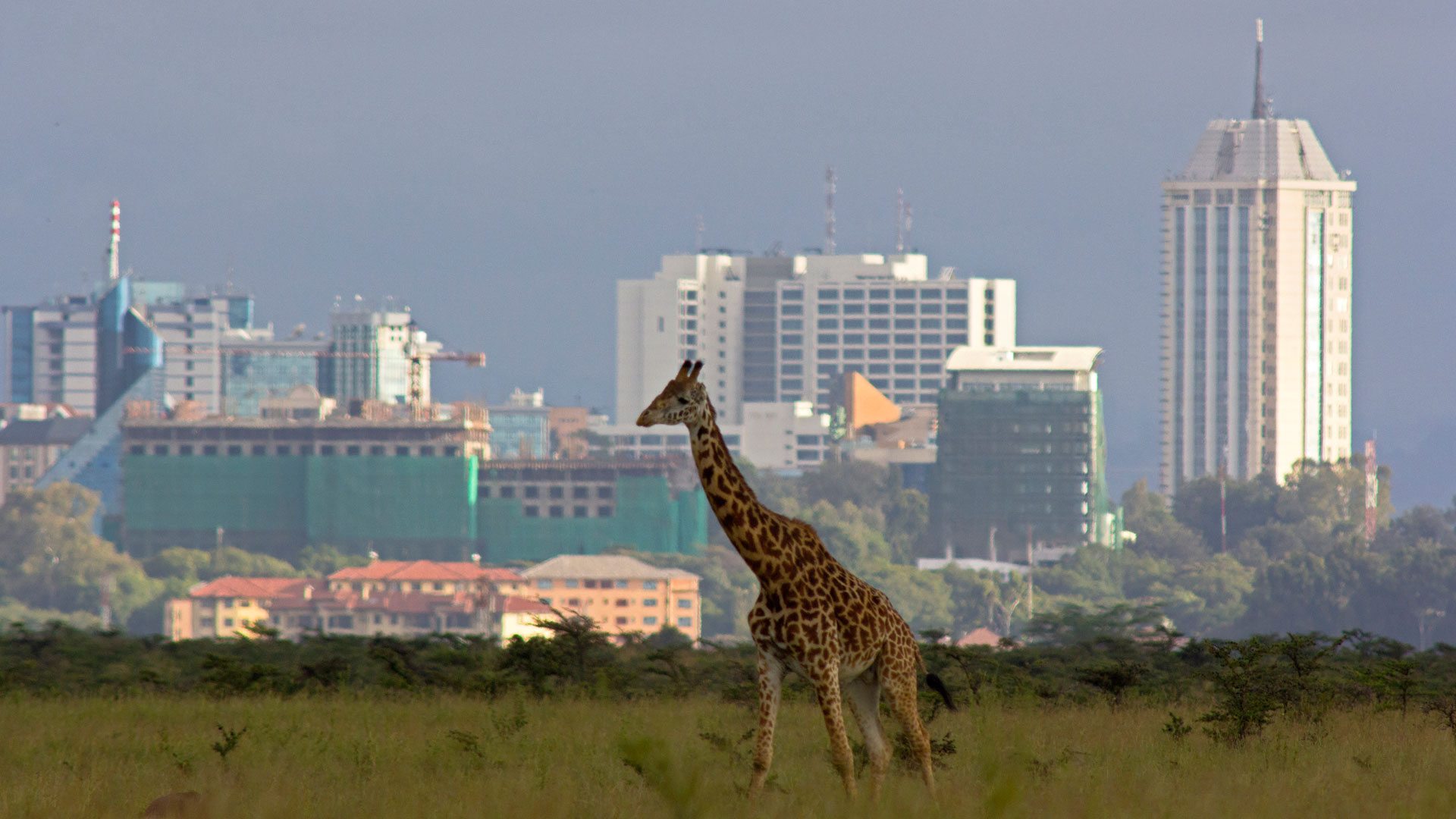 Nairobi (1)