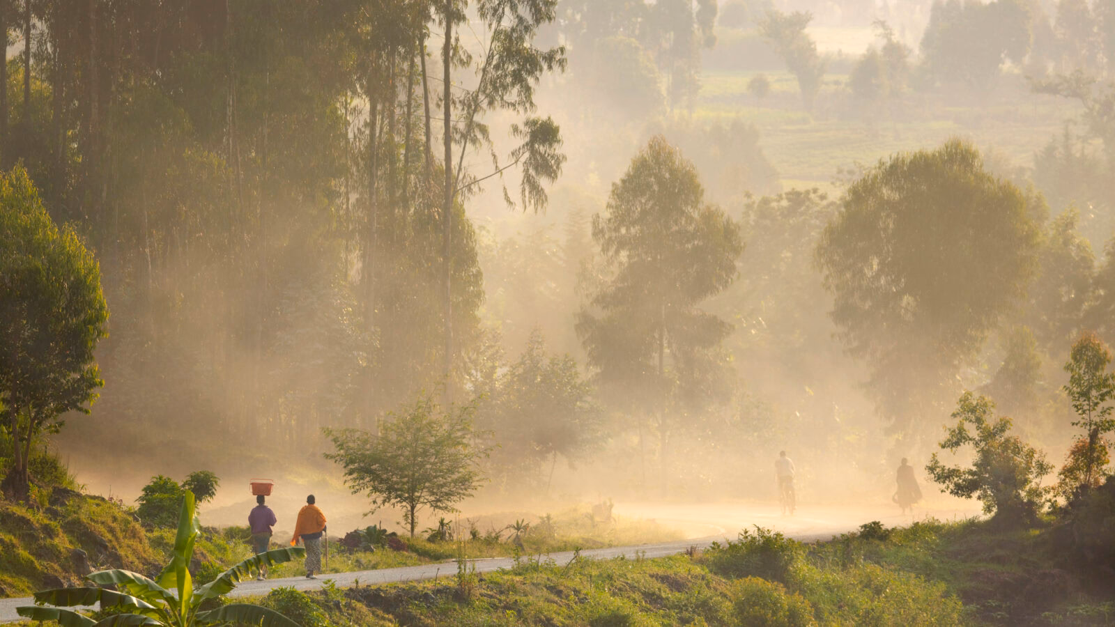 Nyungwe National Park (1)