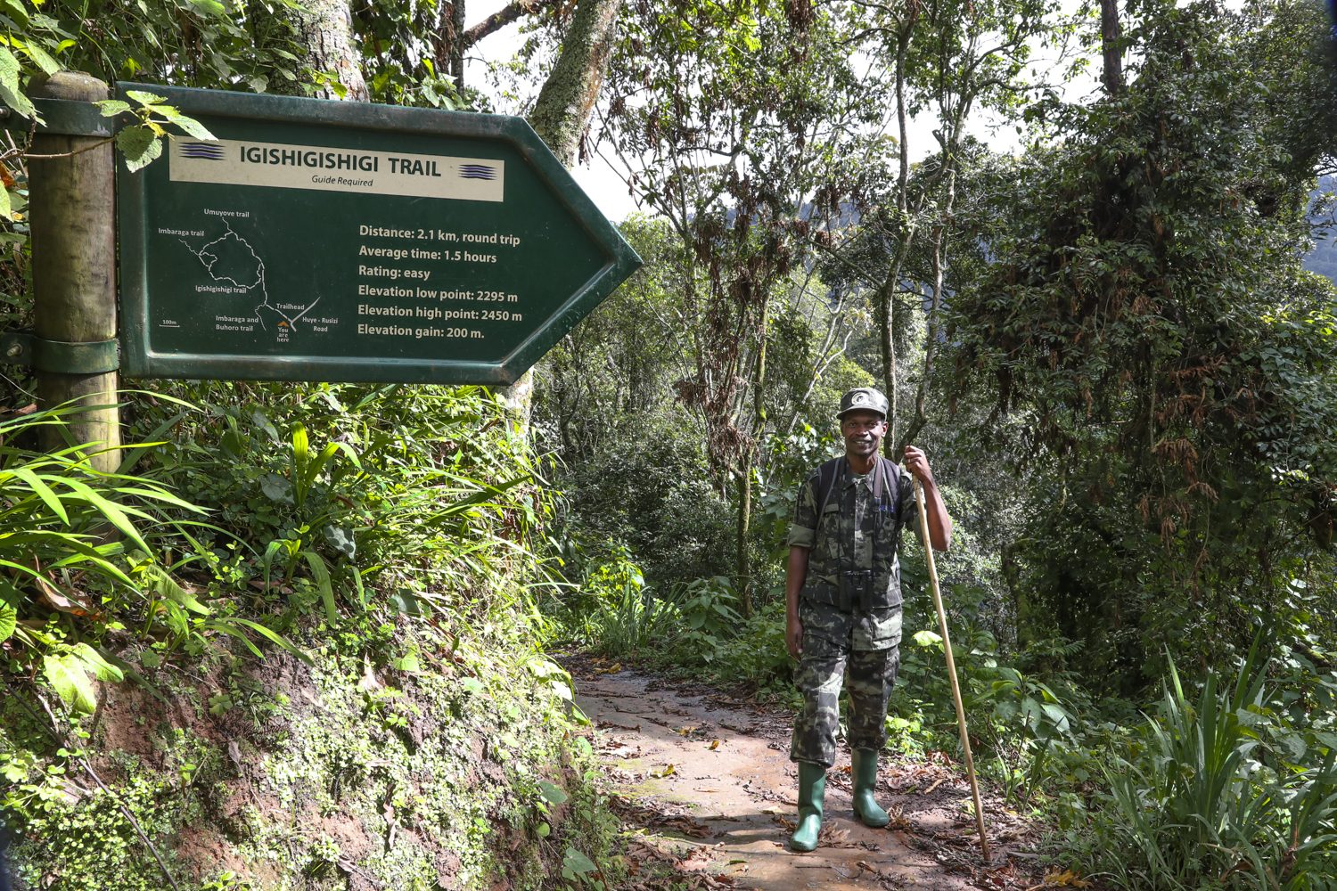 Nyungwe National Park (1)