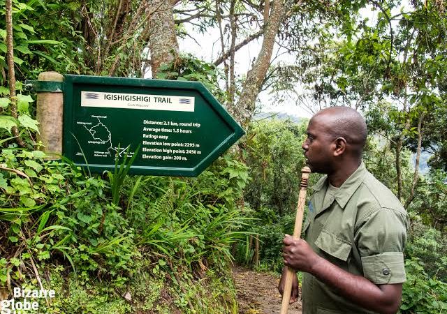 Nyungwe National Park (13)