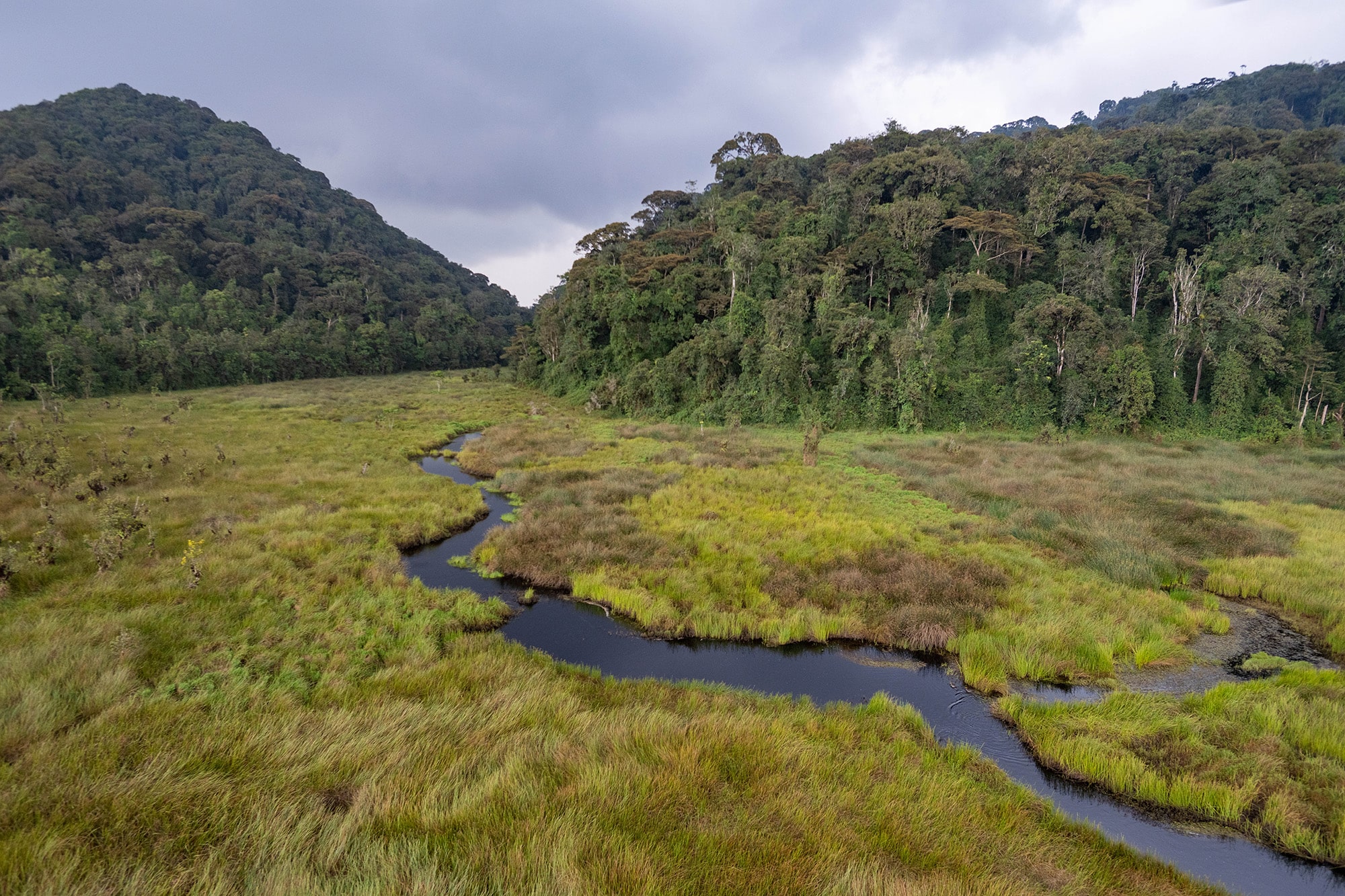 Nyungwe National Park (3)