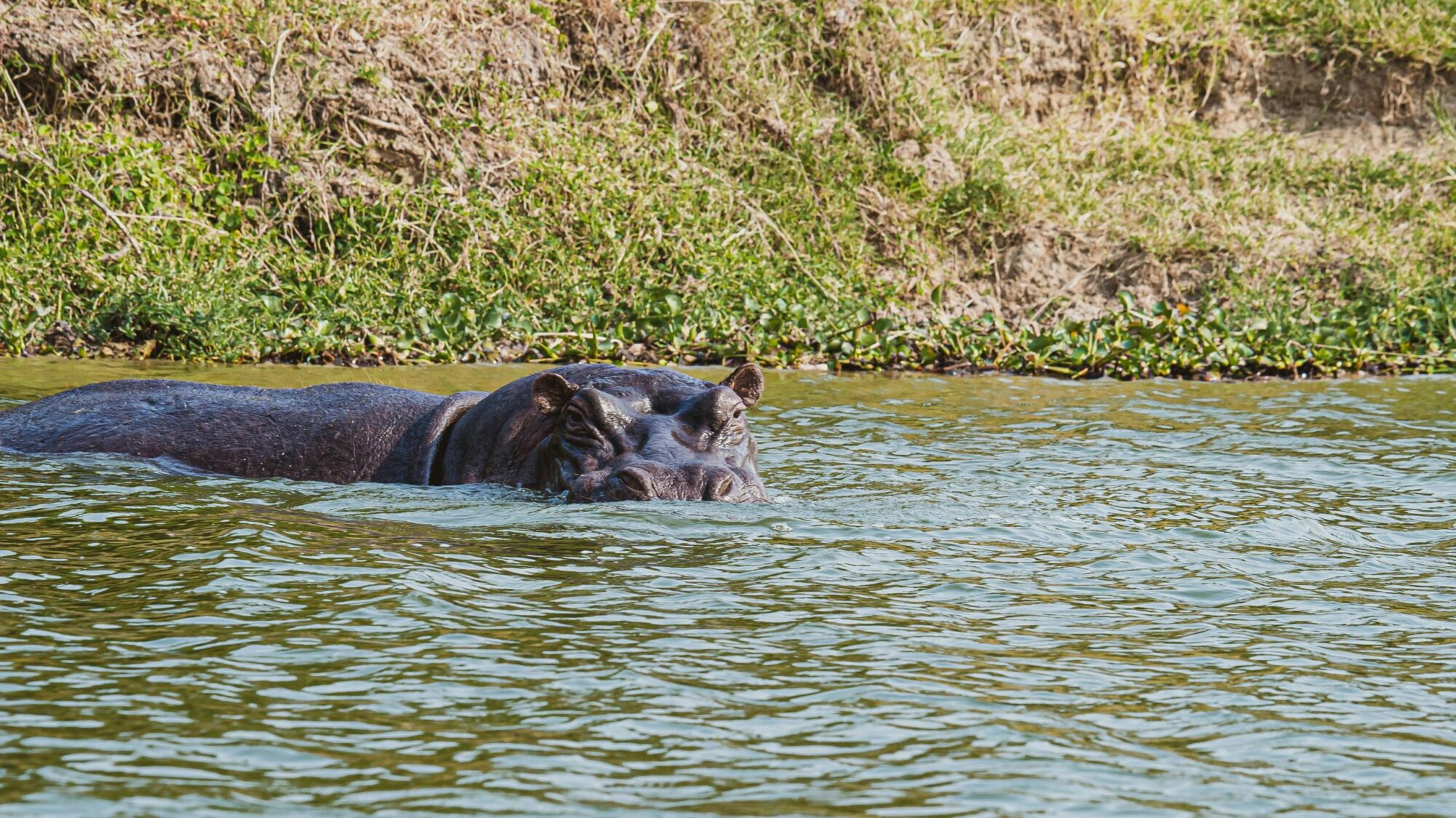 Queen Elizabeth National Park (10)