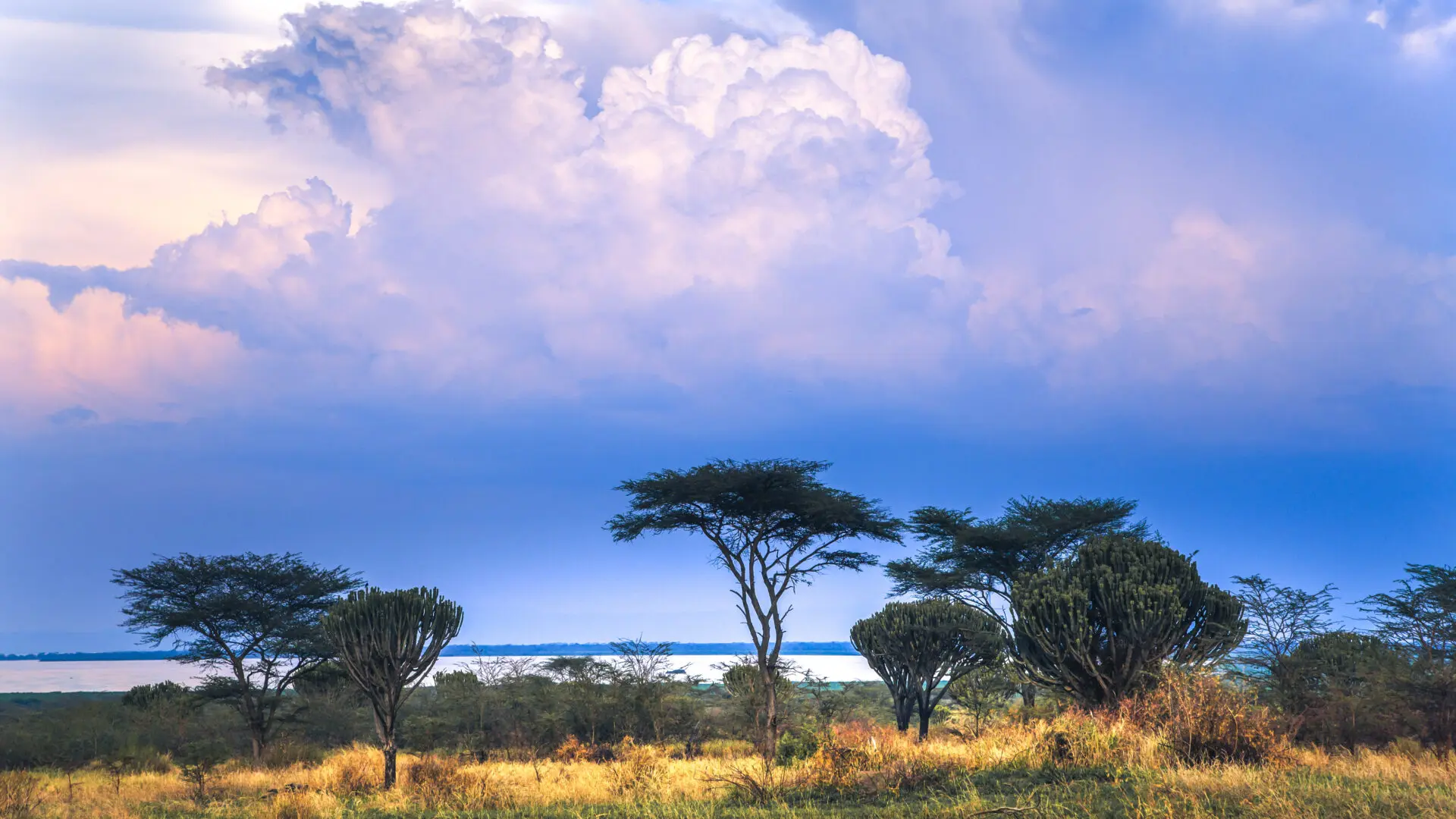 Queen Elizabeth National Park (3)