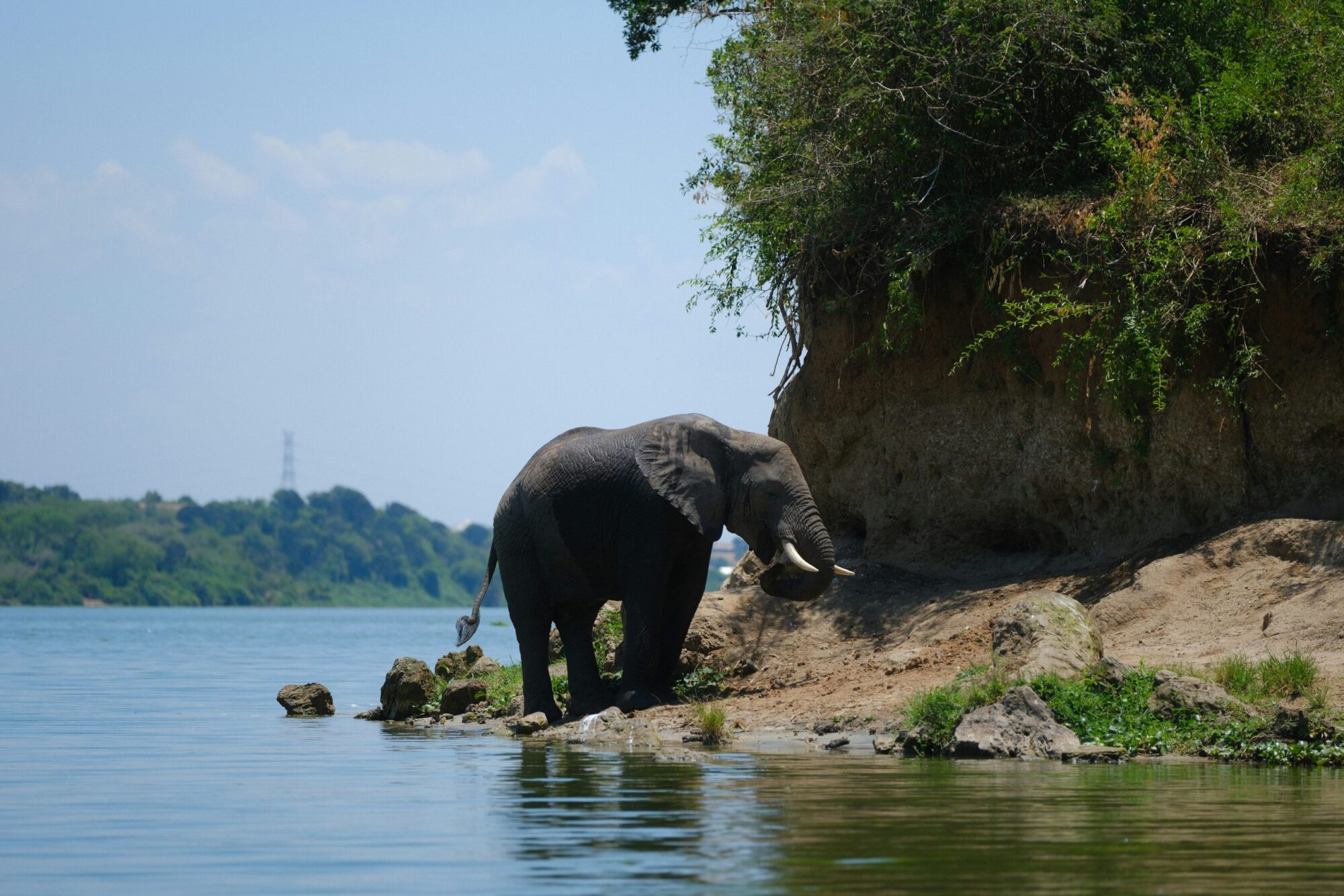 Queen Elizabeth National Park (7)