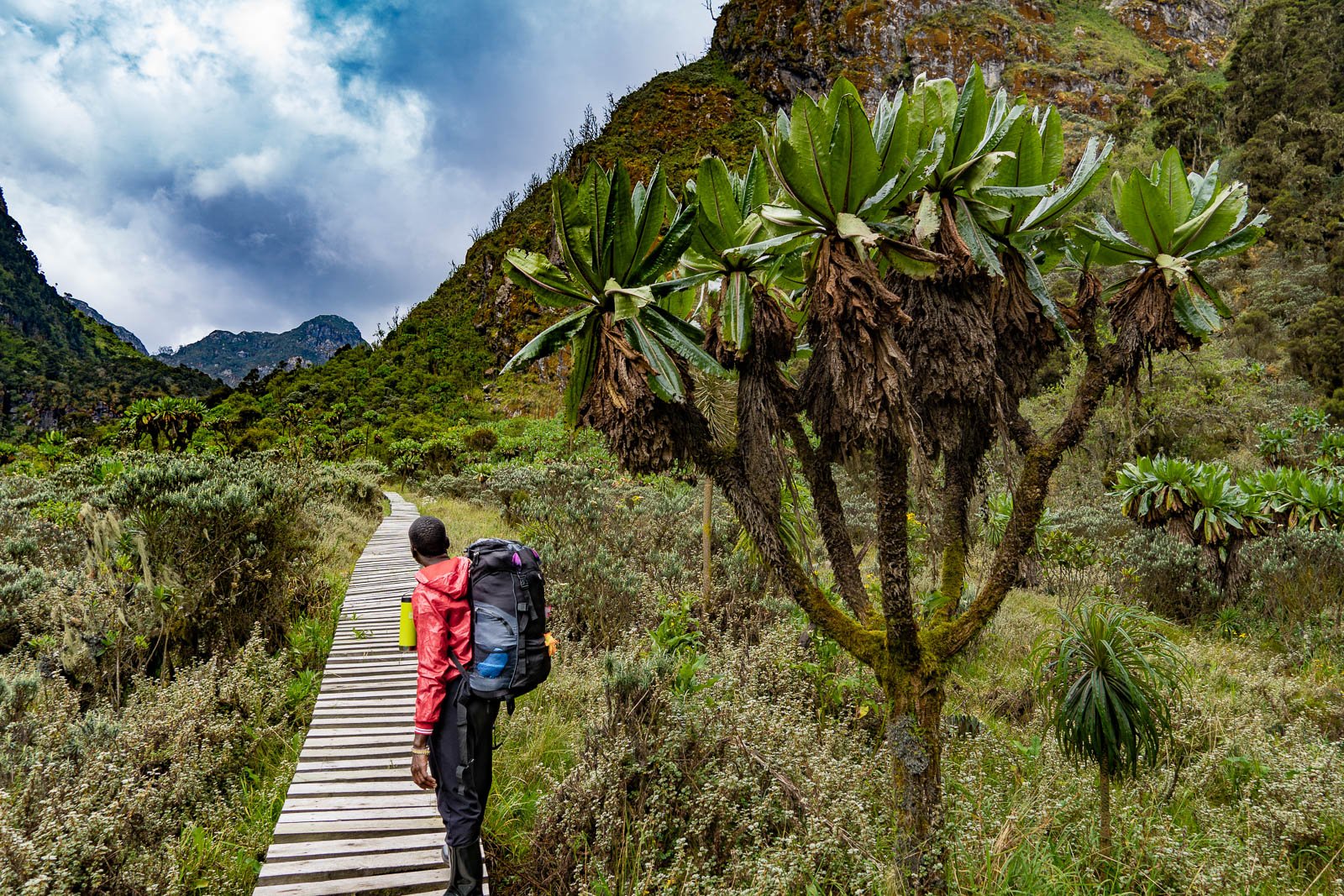Rwenzori-Mountains-05_1600p-1