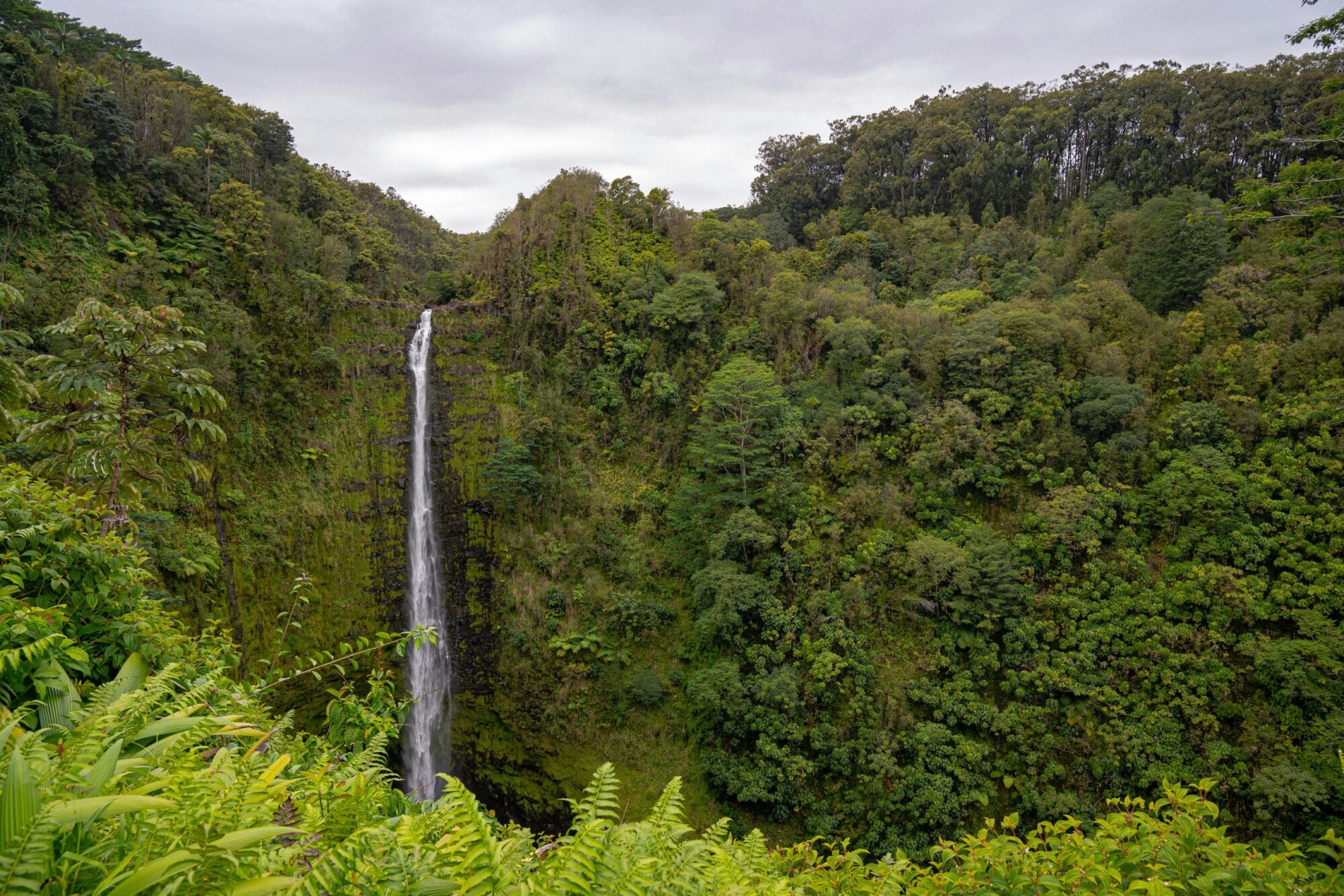 Volcanoes National Park (8)