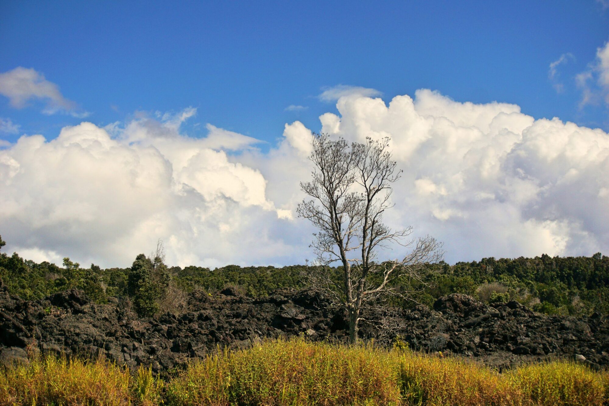 Volcanoes National Park (9)