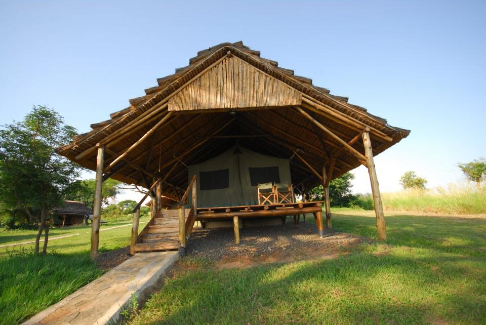 bwana_tembo_5